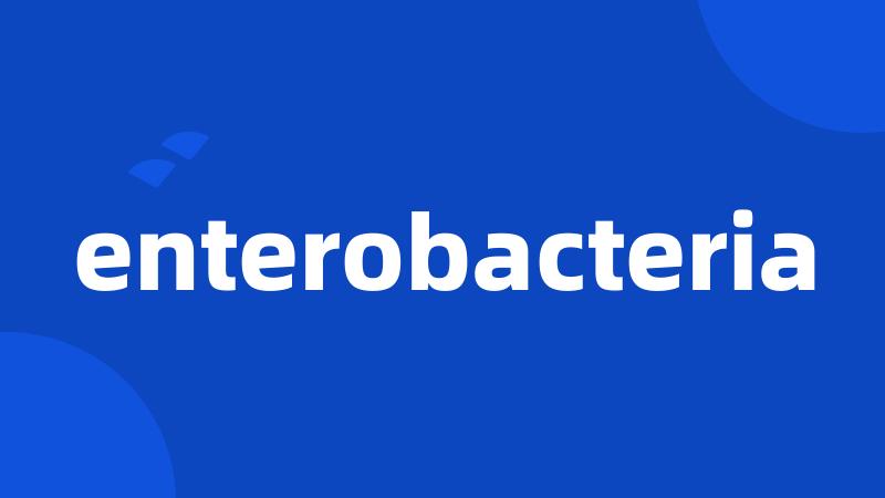 enterobacteria