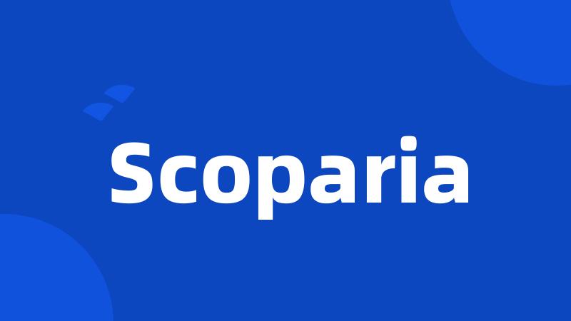 Scoparia
