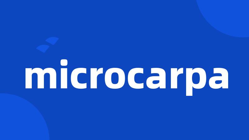 microcarpa