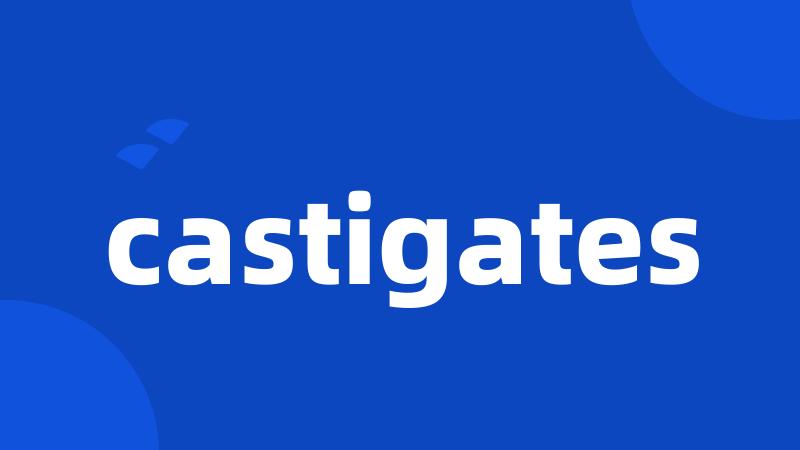 castigates