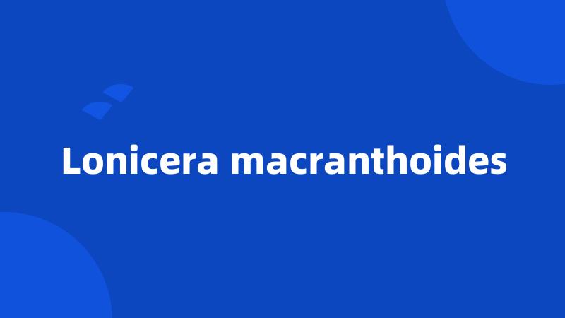Lonicera macranthoides