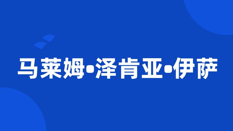 马莱姆•泽肯亚•伊萨