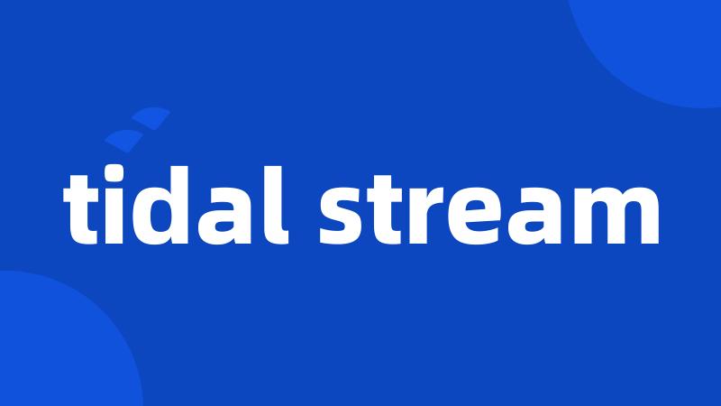 tidal stream