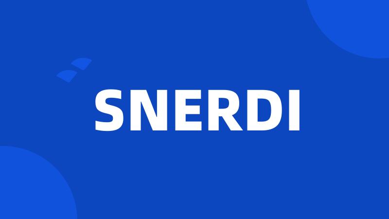 SNERDI