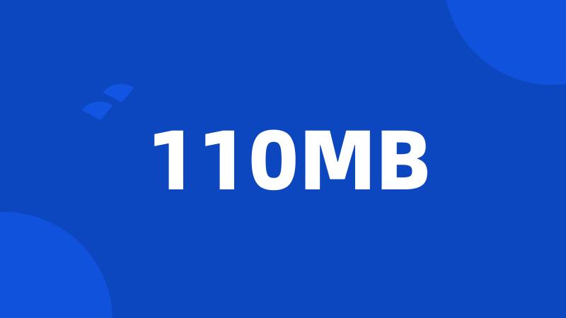 110MB