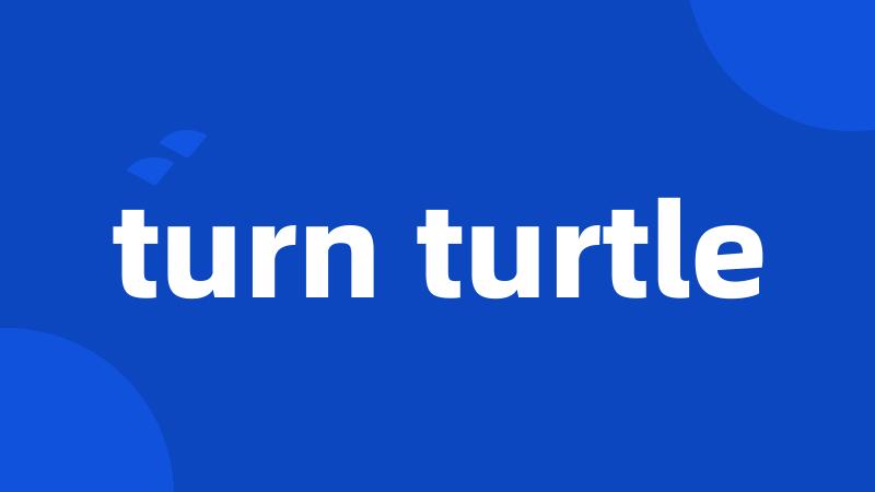 turn turtle