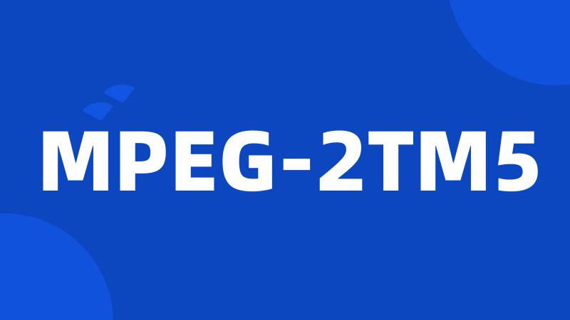 MPEG-2TM5