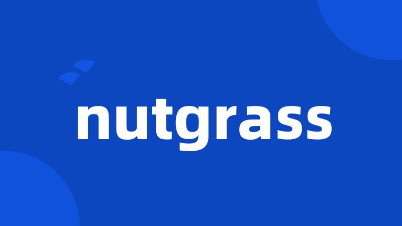 nutgrass