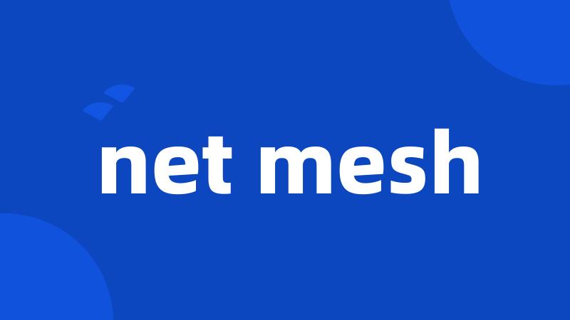 net mesh