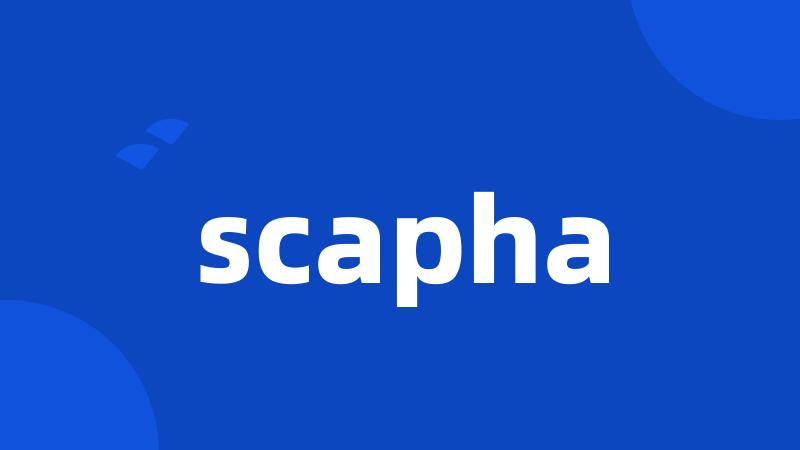 scapha