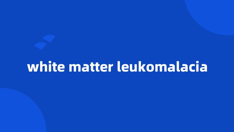 white matter leukomalacia