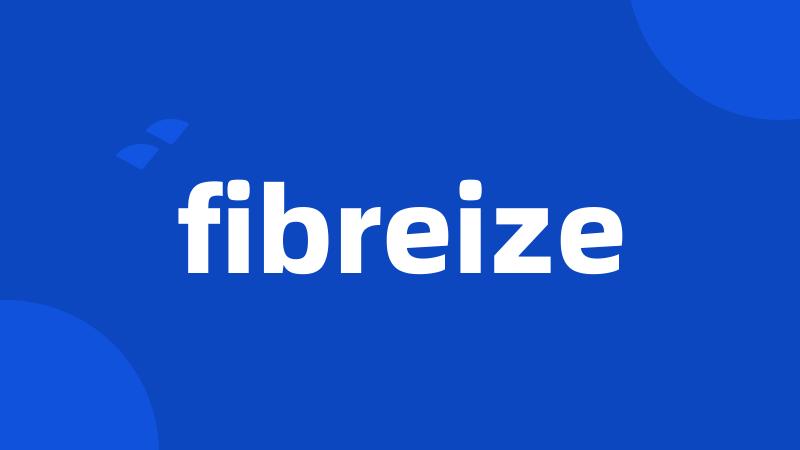 fibreize