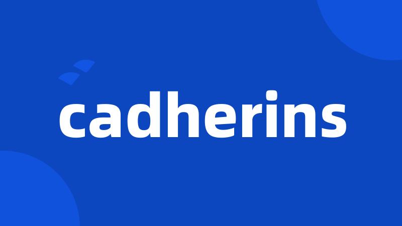 cadherins