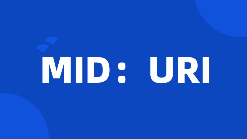 MID：URI