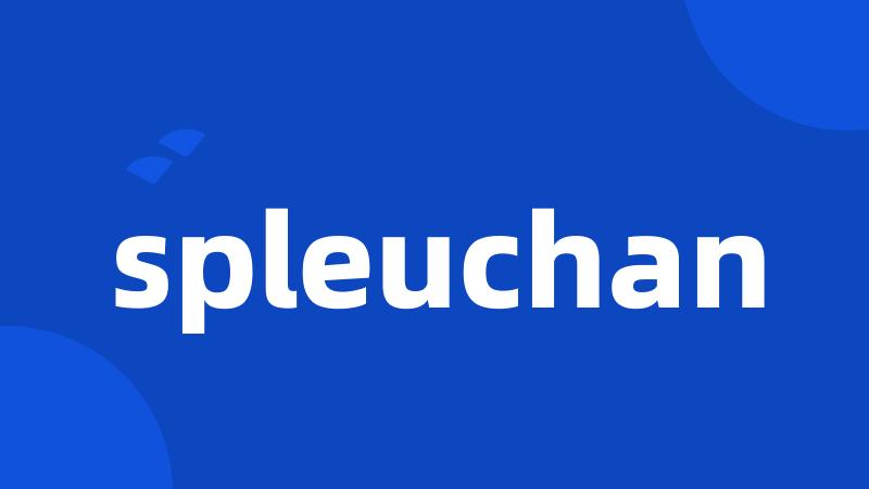 spleuchan