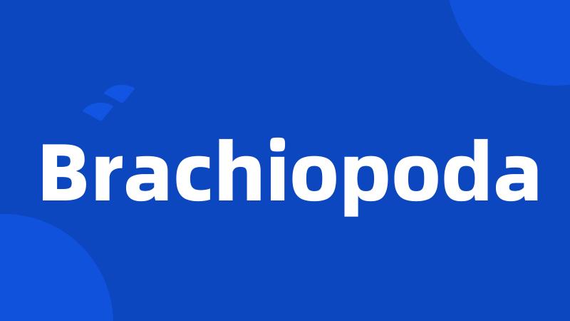 Brachiopoda