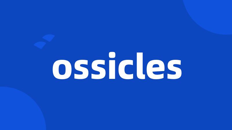 ossicles