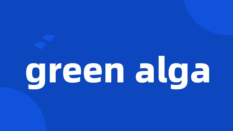 green alga