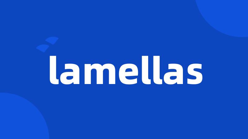 lamellas