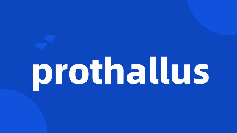 prothallus