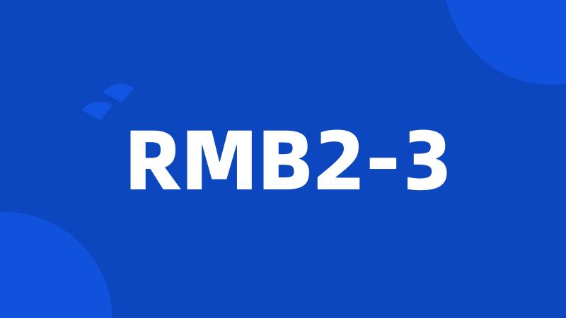 RMB2-3