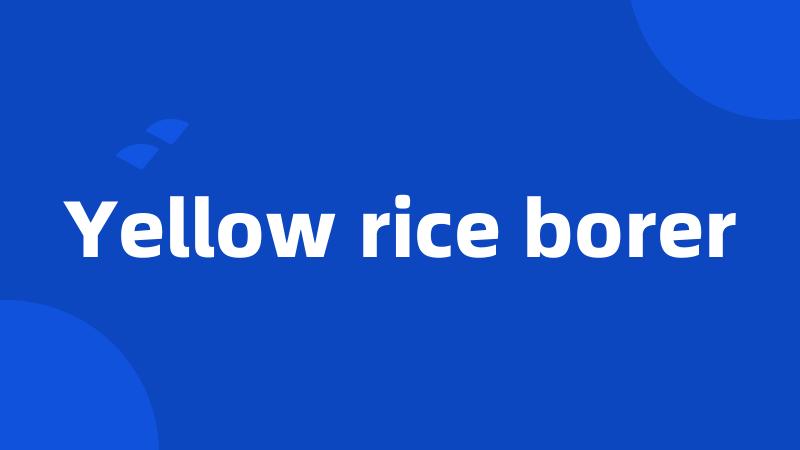 Yellow rice borer
