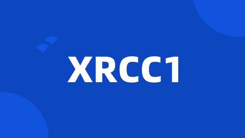 XRCC1