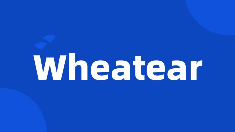 Wheatear