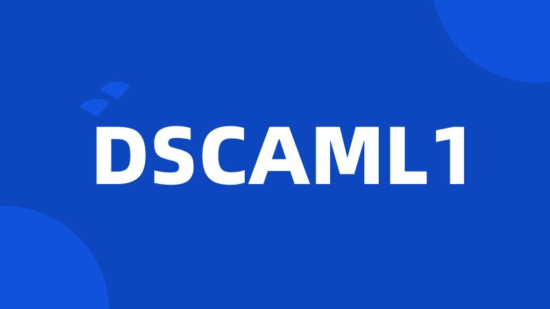 DSCAML1