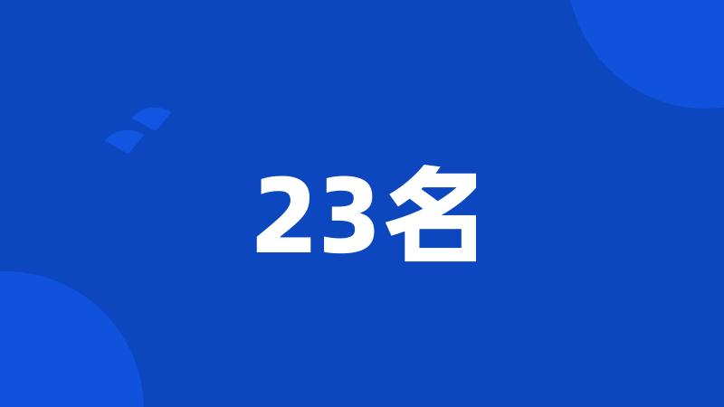 23名