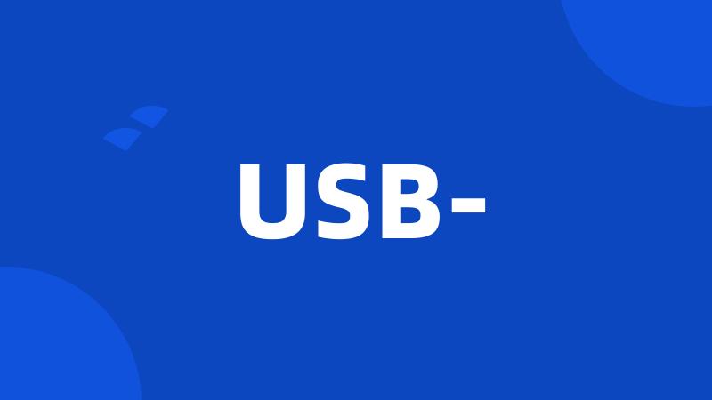 USB-