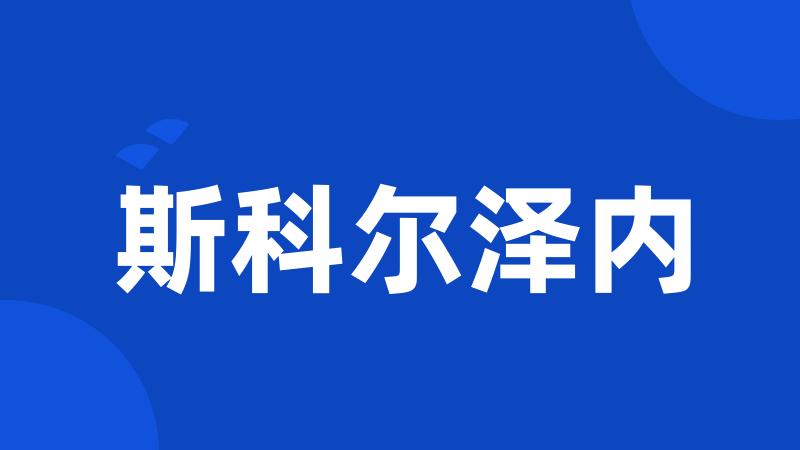 斯科尔泽内