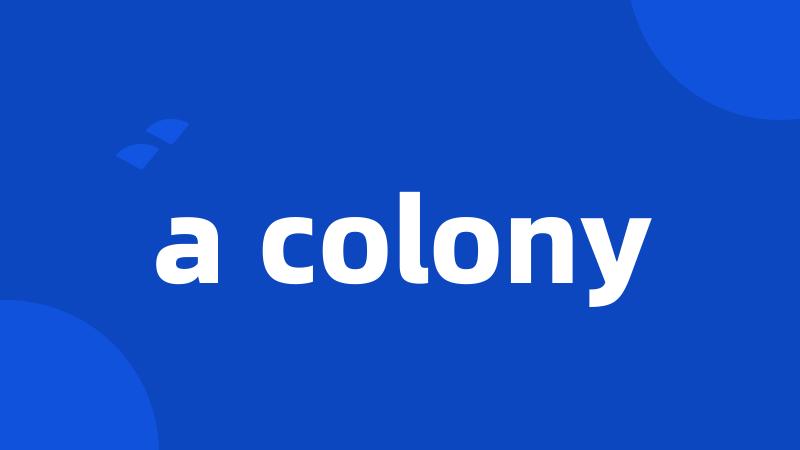 a colony