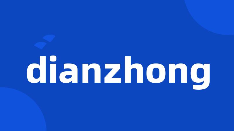 dianzhong