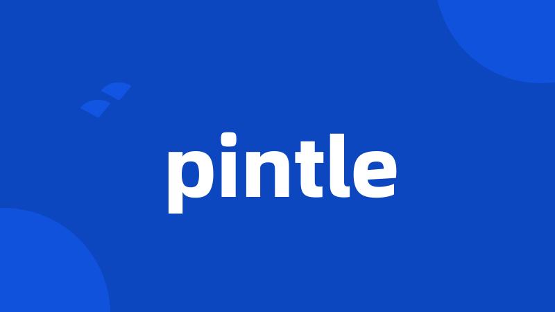 pintle