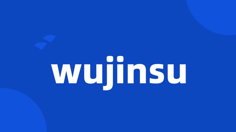 wujinsu