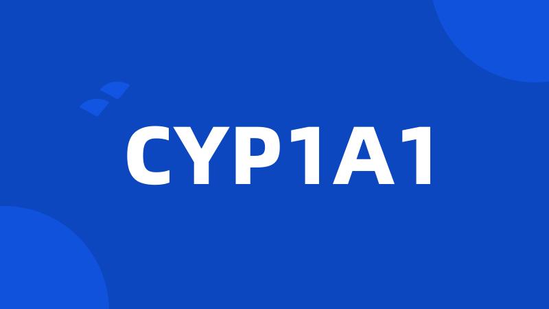 CYP1A1