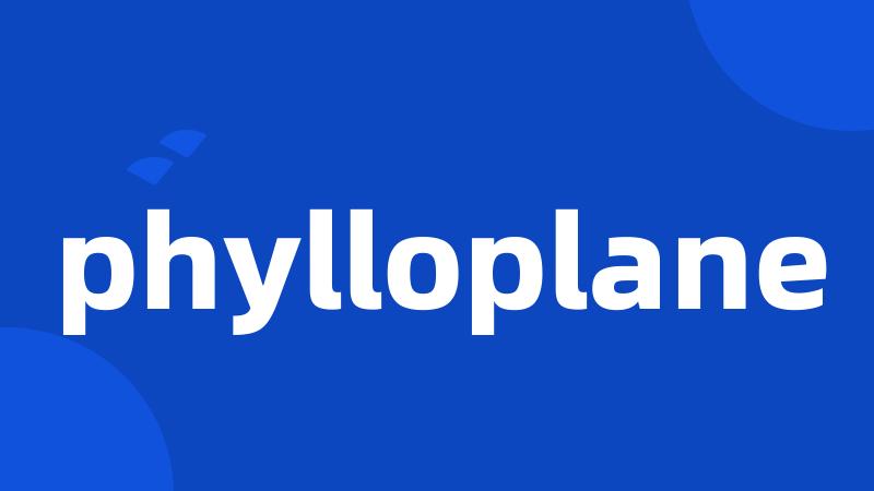 phylloplane