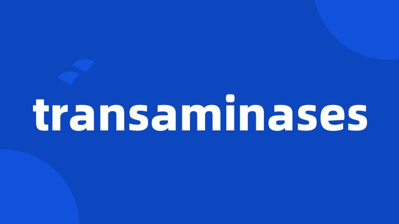 transaminases