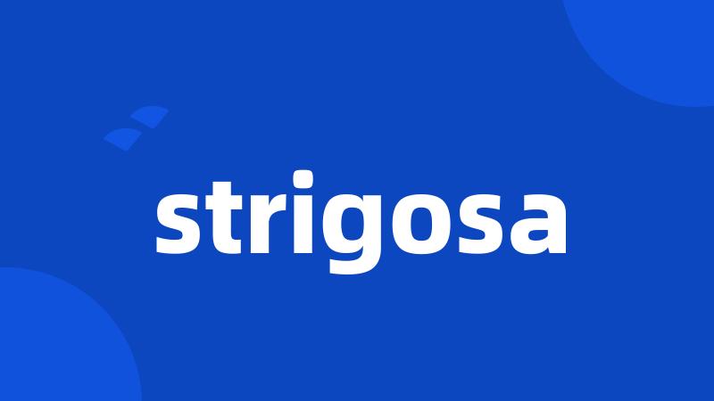 strigosa