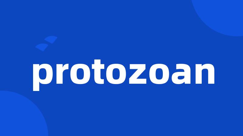 protozoan