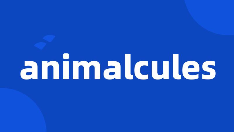 animalcules