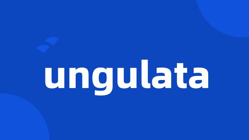 ungulata