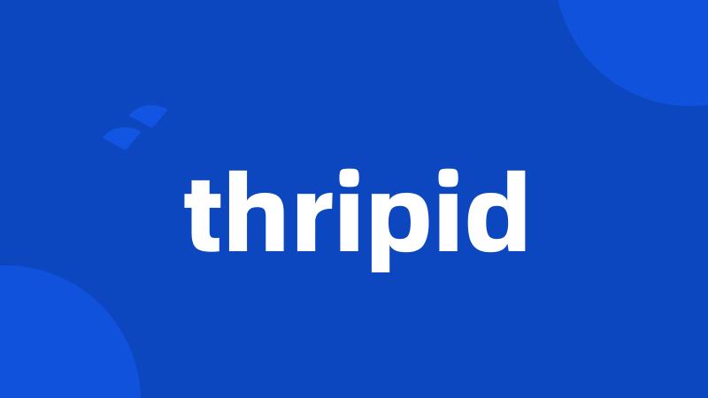 thripid