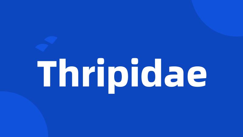 Thripidae
