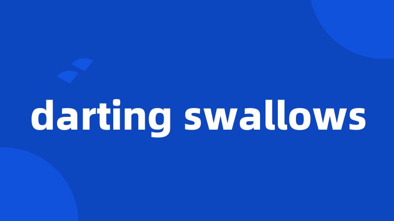 darting swallows