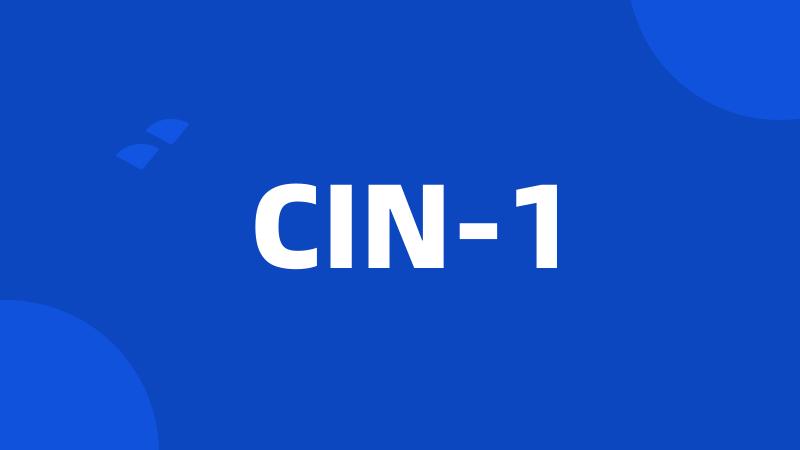 CIN-1