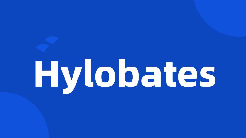 Hylobates