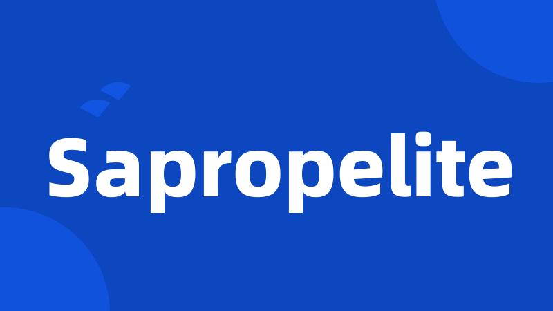 Sapropelite