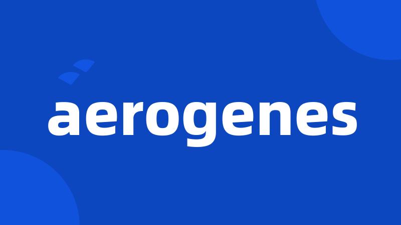 aerogenes